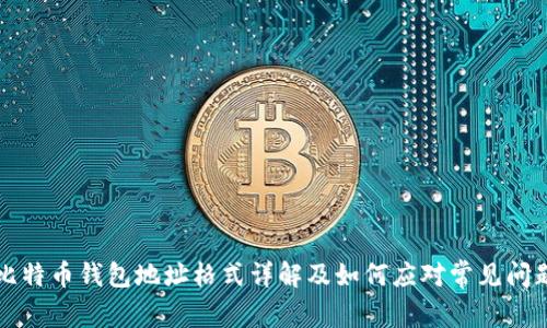 比特币钱包地址格式详解及如何应对常见问题