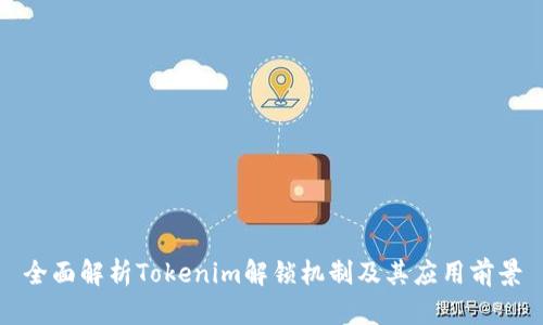 全面解析Tokenim解锁机制及其应用前景