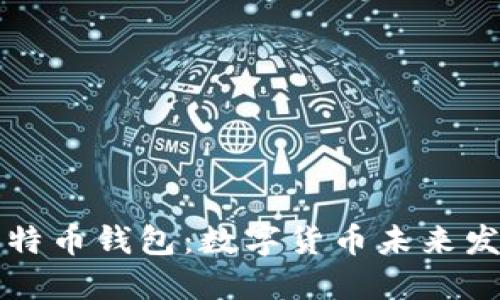特斯拉支持比特币钱包：数字货币未来发展的重要一步