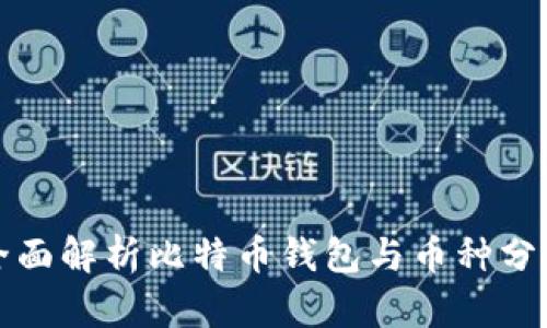 全面解析比特币钱包与币种分类