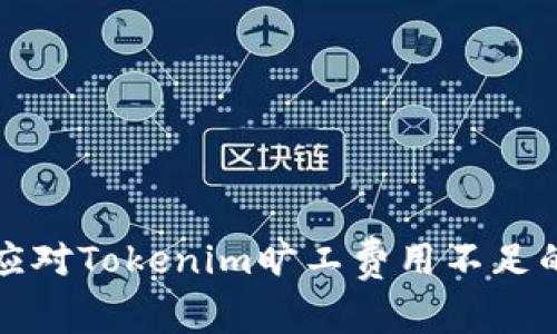 如何应对Tokenim旷工费用不足的问题