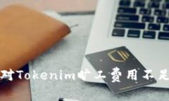 如何应对Tokenim旷工费用不