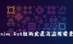 Tokenim Dot链的发展与应用前