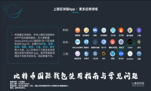 比特币国际钱包使用指南与常见问题