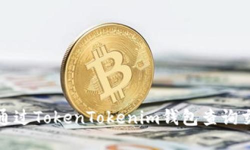 : 如何通过TokenTokenim钱包查询交易记录