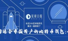如何选择适合中国用户的