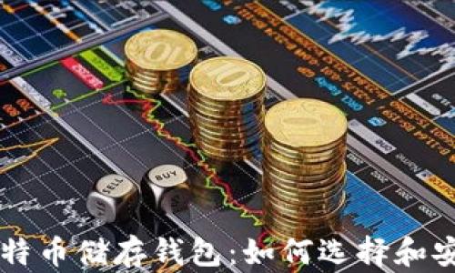 
详解比特币储存钱包：如何选择和安全使用
