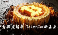 火币平台深度解析：Toke