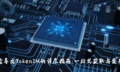 ### 
公信宝导出TokenIM的详尽指南：一站式获取与使用策略