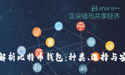 全面解析比特币钱包：种类、选择与安全性