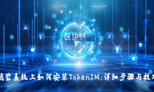 鸿蒙系统上如何安装TokenIM：详细步骤与技巧