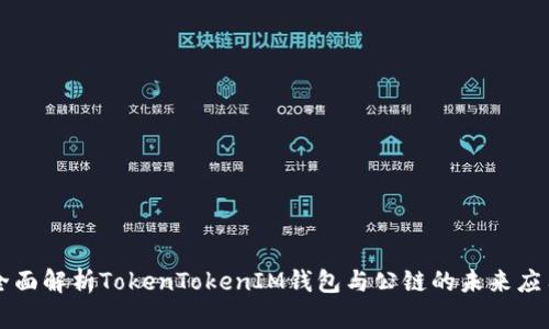 全面解析TokenTokenIM钱包与公链的未来应用
