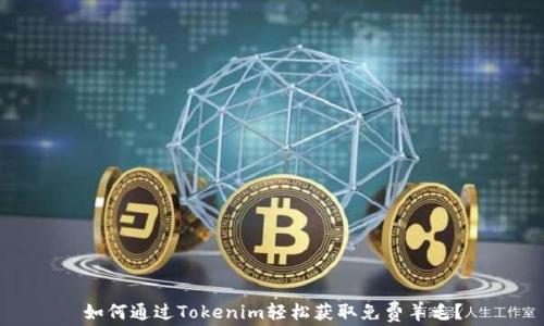 
如何通过Tokenim轻松获取免费羊毛？