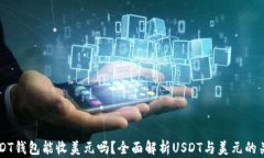 USDT钱包能收美元吗？全面