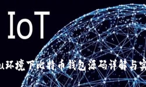Ubuntu环境下比特币钱包源码详解与实用指南