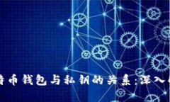 比特币钱包与私钥的关系