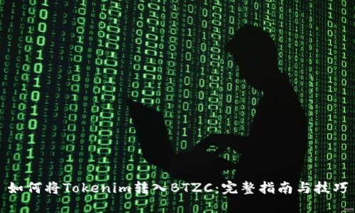 如何将Tokenim转入BTZC：完整指南与技巧