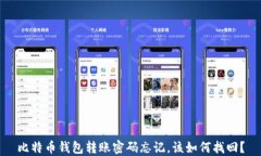 比特币钱包转账密码忘记