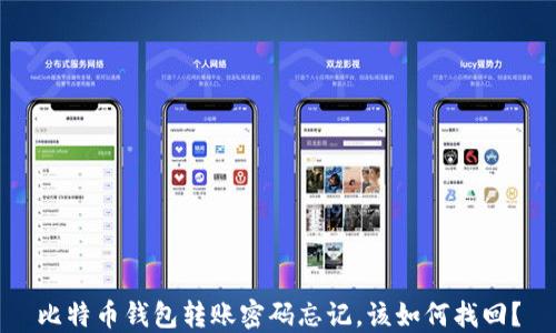 
比特币钱包转账密码忘记，该如何找回？