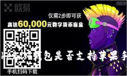 TokenTokenIM钱包是否支持苹果手机版本？