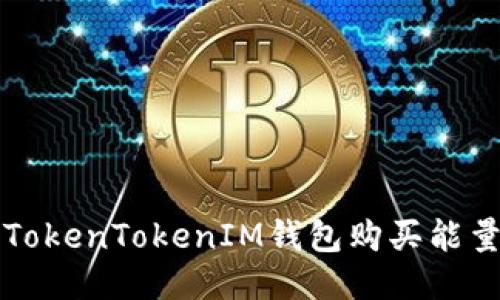  如何通过TokenTokenIM钱包购买能量？详细指南