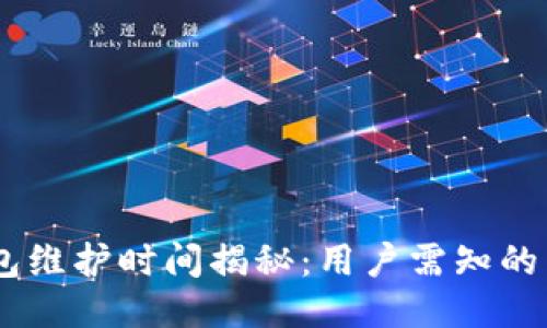 USDT钱包维护时间揭秘：用户需知的关键信息