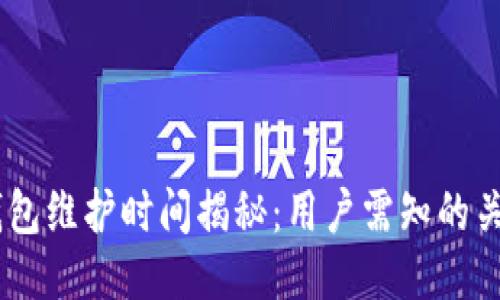 USDT钱包维护时间揭秘：用户需知的关键信息