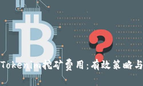 如何降低Tokenim挖矿费用：有效策略与实用技巧