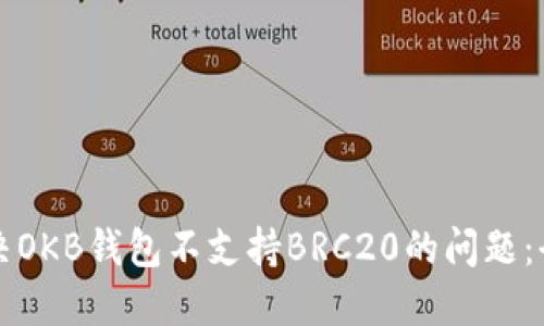 如何解决OKB钱包不支持BRC20的问题：全面指南