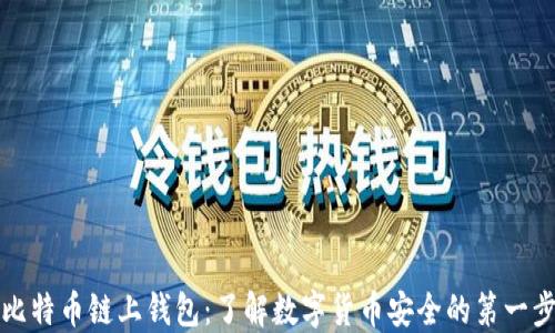 
比特币链上钱包：了解数字货币安全的第一步