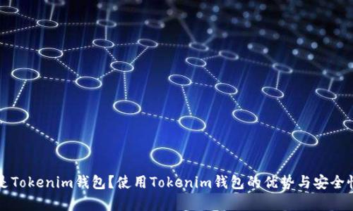 什么是Tokenim钱包？使用Tokenim钱包的优势与安全性解析