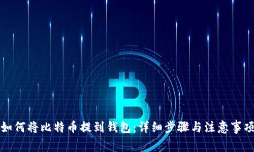 如何将比特币提到钱包：详细步骤与注意事项