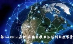 深入了解Tokenim原理：区块