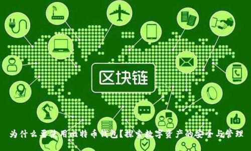 为什么要使用比特币钱包？探索数字资产的安全与管理