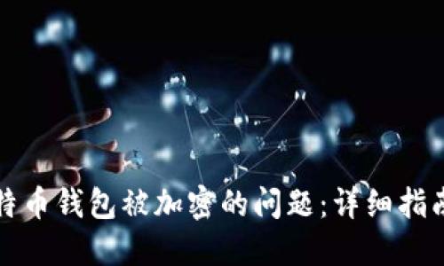如何处理比特币钱包被加密的问题：详细指南与解决方案