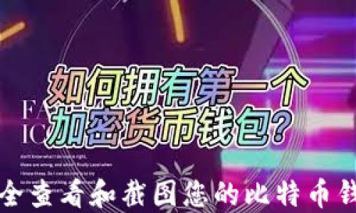 
如何安全查看和截图您的比特币钱包余额