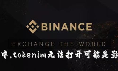 在这个信息化的时代，浏览特定网站出现问题并不罕见。其中，tokenim无法打开可能是影响用户体验的重要问题。让我们从多个方面探讨这一问题。


