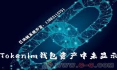 如何解决Tokenim钱包资产中