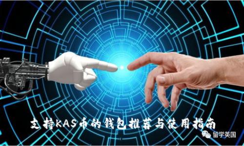 支持KAS币的钱包推荐与使用指南