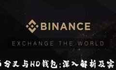 比特币分叉与HD钱包：深入