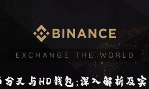 
比特币分叉与HD钱包：深入解析及实践指南