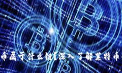 ### 创建钱包LTC币属于什么