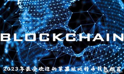   
2023年最受欢迎的苹果版比特币钱包推荐