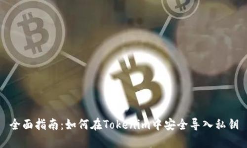 全面指南：如何在Tokenim中安全导入私钥