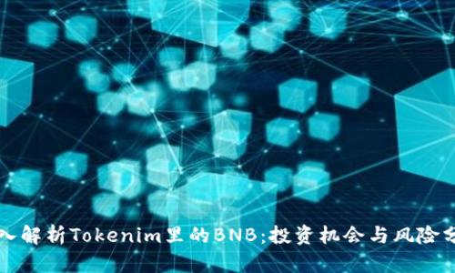 深入解析Tokenim里的BNB：投资机会与风险分析