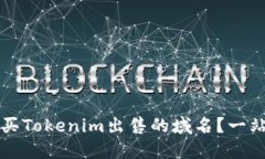 如何购买Tokenim出售的域名