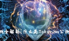Tokenim公测全解析：什么是