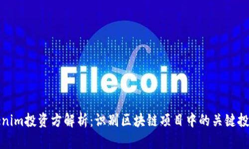 Tokenim投资方解析：识别区块链项目中的关键投资者