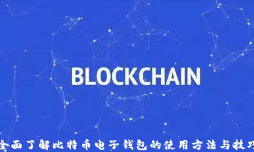 
全面了解比特币电子钱包的使用方法与技巧