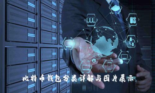 比特币钱包分类详解与图片展示